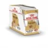 Adult Pomeranian Mousse 12 X 85 G - Royal Canin