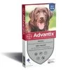 Advantix Grand Chien 25/40 Kg - Bayer -Fournitures Pour Animaux advantix grand chien 25 40 kg bayer