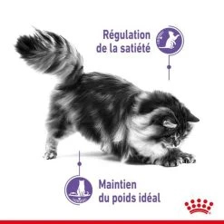 Appetite Control Care En Mousse 12 X 85 G - Royal Canin -Fournitures Pour Animaux appetite control care en mousse 12 x 85 g royal canin 3