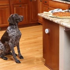 Barrière De Délimitation Instantanée " Mini Barrier" - Petsafe -Fournitures Pour Animaux barriere de delimitation instantanee mini barrier petsafe 4