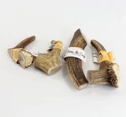 Bois De Cerf L - Parole De Truffes -Fournitures Pour Animaux bois de cerf l parole de truffes 2