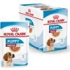 Bouchées En Sauce Puppy Medium (10x140g) - Royal Canin 1 Bouchées En Sauce Puppy Medium (10x140g) - Royal Canin -Fournitures Pour Animaux bouchees en sauce puppy medium 10x140g royal canin