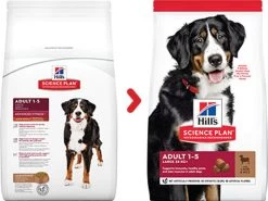 Canine Adult Large Breed Agneau & Riz - Hill's Science Plan