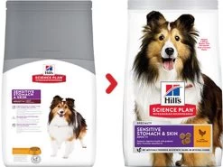 Canine Adult Sensitive Stomach & Skin Medium Poulet - Hill's Science Plan