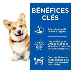 Canine Adult Small & Mini "Healthy Cuisine" - Hill's Science Plan -Fournitures Pour Animaux canine adult small mini healthy cuisine hill s science plan 2