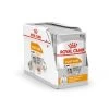 Canine Coat Care Mousse 12 X 85 G - Royal Canin -Fournitures Pour Animaux canine coat care mousse 12 x 85 g royal canin