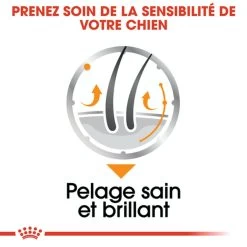 Canine Coat Care Mousse 12 X 85 G - Royal Canin -Fournitures Pour Animaux canine coat care mousse 12 x 85 g royal canin 5