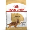 Cocker - Royal Canin -Fournitures Pour Animaux cocker royal canin