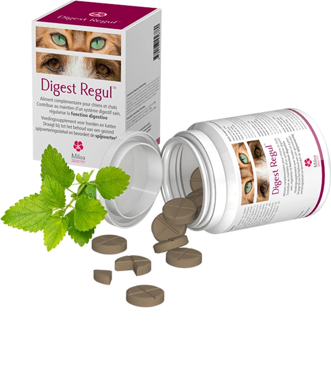 Complément Alimentaire "Digest Regul" - Miloa 3 Complément Alimentaire "Digest Regul" - Miloa