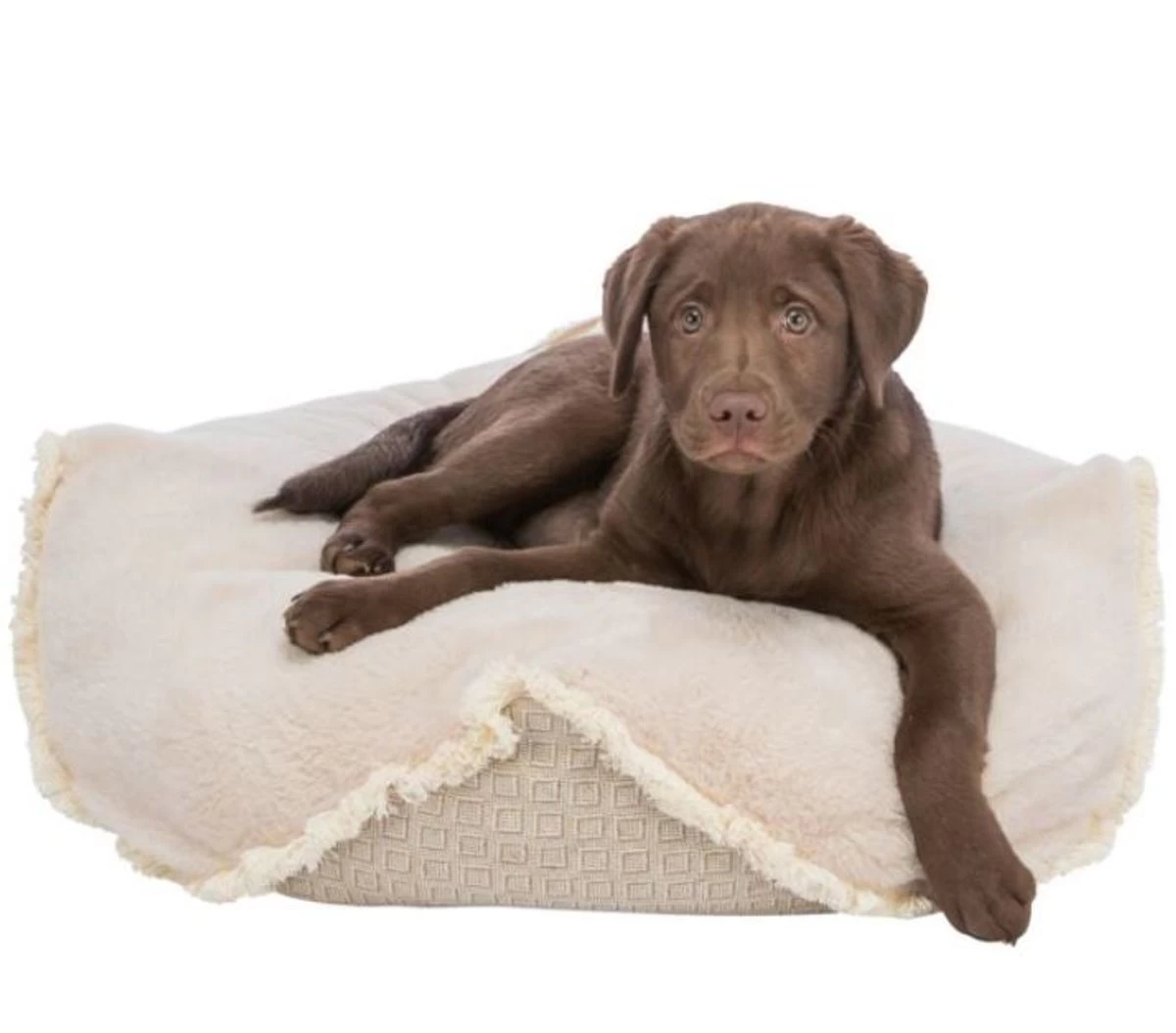 Coussin Boho - Trixie 4 Coussin Boho - Trixie – Image 2