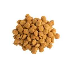 Croquettes NF Renal Function Pour Chat - Pro Plan Veterinary Diets 7 Croquettes NF Renal Function Pour Chat - Pro Plan Veterinary Diets -Fournitures Pour Animaux croquettes nf renal function pour chat pro plan veterinary diets 2