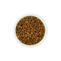 Croquettes Pour Chat Senior Au Poisson 800 G - Lily's Kitchen -Fournitures Pour Animaux croquettes pour chat senior au poisson 800 g lily s kitchen 1