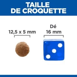 Croquettes Pour Chien Moyen Perfect Digestion - Hill's Science Plan 7 Croquettes Pour Chien Moyen Perfect Digestion - Hill's Science Plan -Fournitures Pour Animaux croquettes pour chien moyen perfect digestion hill s science plan 2