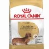 Dachshund "Teckel" - Royal Canin -Fournitures Pour Animaux dachshund teckel royal canin