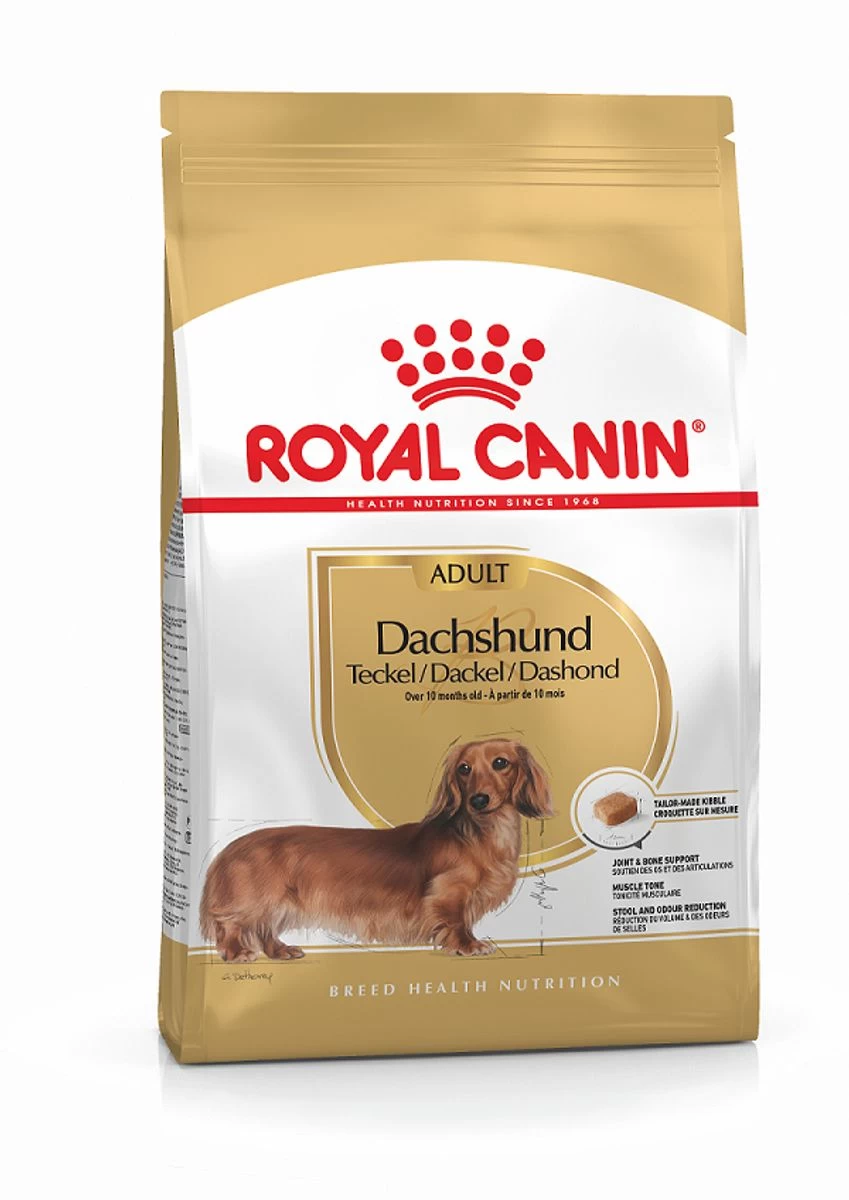 Dachshund "Teckel" - Royal Canin 3 Dachshund "Teckel" - Royal Canin