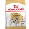 Dalmatian "Dalmatien" - Royal Canin -Fournitures Pour Animaux dalmatian dalmatien royal canin