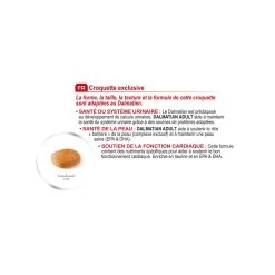 Dalmatian "Dalmatien" - Royal Canin -Fournitures Pour Animaux dalmatian dalmatien royal canin 3