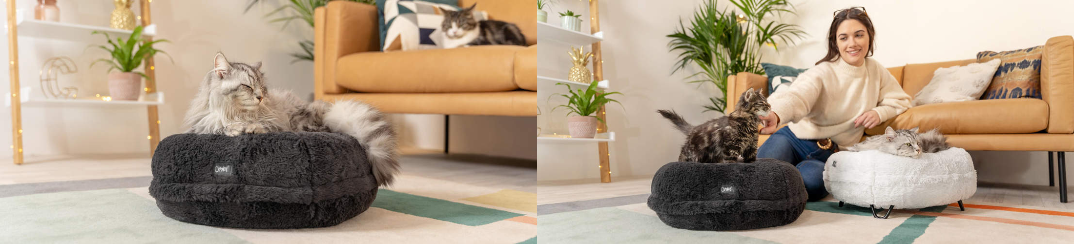 Fournitures Pour Animaux -Fournitures Pour Animaux dcdasad