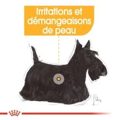 Dermacomfort Mousse 12 X 85 G - Royal Canin -Fournitures Pour Animaux dermacomfort mousse 12 x 85 g royal canin 4