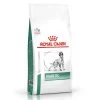 Diabetic (DS 37) - Royal Canin Veterinary Diet