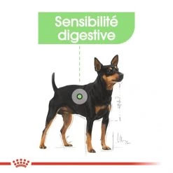 Digestive Care Mousse 12 X 85 G - Royal Canin -Fournitures Pour Animaux digestive care mousse 12 x 85 g royal canin 3