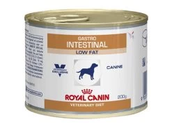 Dog Gastro Intest Low Fat 12x200 G - Royal Canin Veterinary Diet