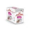 Exigent Mousse 12 X 85 G - Royal Canin -Fournitures Pour Animaux exigent mousse 12 x 85 g royal canin