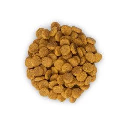 Feline Adult 7+ Youthful Vitality Poulet & Riz 1.5 Kg - Hill's -Fournitures Pour Animaux feline adult 7 youthful vitality poulet riz 1 5 kg hill s 2