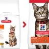 Feline Adult Au Poulet - Hill's Science Plan -Fournitures Pour Animaux feline adult au poulet hill s science plan