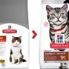 Feline Adult Hairball Indoor Poulet - Hill's Science Plan -Fournitures Pour Animaux feline adult hairball indoor poulet hill s science plan