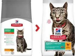 Feline Adult Perfect Weight Au Poulet - Hill's Science Plan
