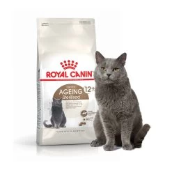 Feline Ageing Sterilised 12 + - Royal Canin -Fournitures Pour Animaux feline ageing sterilised 12 royal canin 2