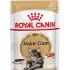 Feline Breed Nutrition Maine Coon Mousse 12x85g - Royal Canin -Fournitures Pour Animaux feline breed nutrition maine coon mousse 12x85g royal canin