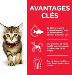 Feline Kitten Poulet - Hill's Science Plan -Fournitures Pour Animaux feline kitten poulet hill s science plan 2