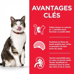 Feline Mature Light 7+ Au Poulet - Hill's Science Plan 9 Feline Mature Light 7+ Au Poulet - Hill's Science Plan -Fournitures Pour Animaux feline mature light 7 au poulet hill s science plan 3