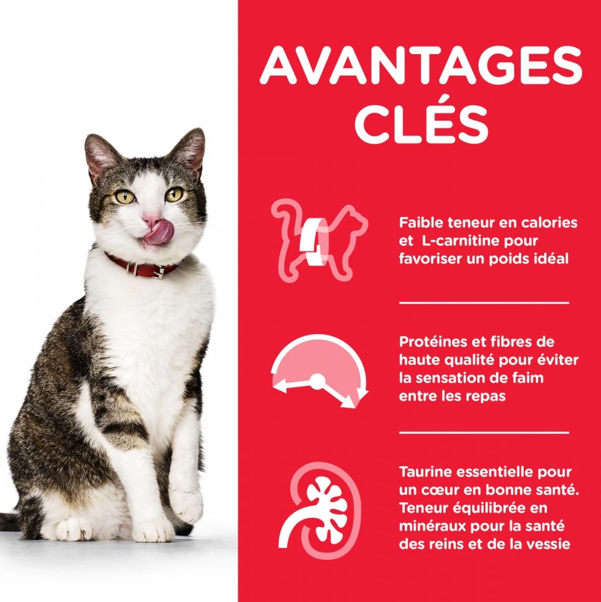 Feline Mature Light 7+ Au Poulet - Hill's Science Plan 6 Feline Mature Light 7+ Au Poulet - Hill's Science Plan – Image 4