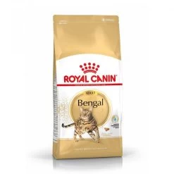 Feline Nutrition Bengal Adult - Royal Canin