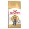 Feline Nutrition British Shorthair - Royal Canin -Fournitures Pour Animaux feline nutrition british shorthair royal canin