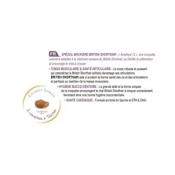 Feline Nutrition British Shorthair - Royal Canin 10 Feline Nutrition British Shorthair - Royal Canin -Fournitures Pour Animaux feline nutrition british shorthair royal canin 3