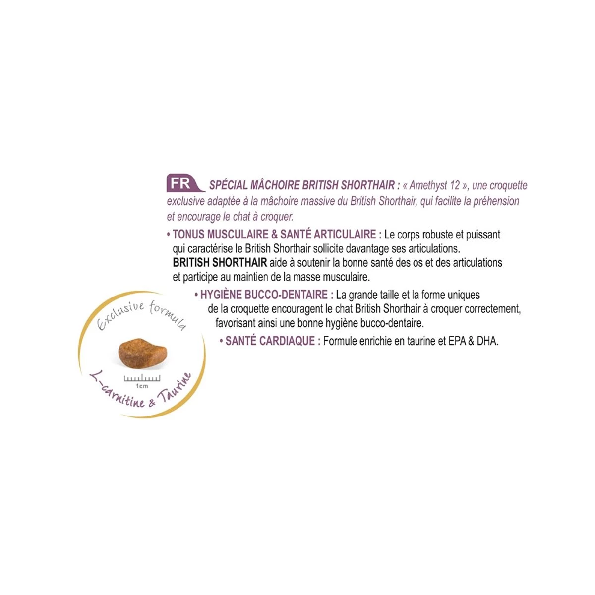 Feline Nutrition British Shorthair - Royal Canin 6 Feline Nutrition British Shorthair - Royal Canin – Image 4