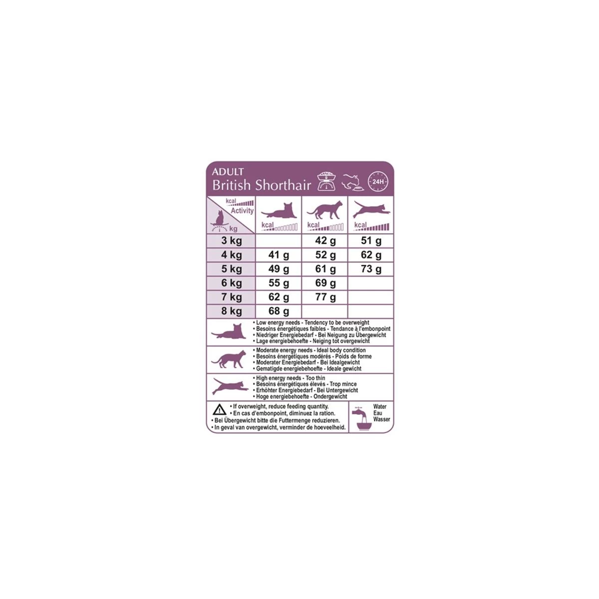 Feline Nutrition British Shorthair - Royal Canin 7 Feline Nutrition British Shorthair - Royal Canin – Image 5