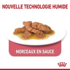 Feline Nutrition Indoor 7 + En Sauce 12 X 85 G - Royal Canin -Fournitures Pour Animaux feline nutrition indoor 7 en sauce 12 x 85 g royal canin 2