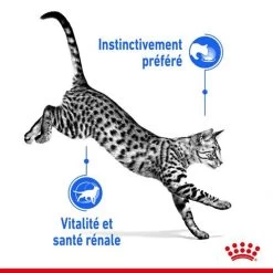 Feline Nutrition Indoor 7 + En Sauce 12 X 85 G - Royal Canin -Fournitures Pour Animaux feline nutrition indoor 7 en sauce 12 x 85 g royal canin 3