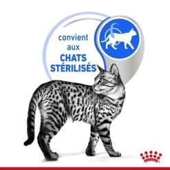 Feline Nutrition Indoor 7 + En Sauce 12 X 85 G - Royal Canin -Fournitures Pour Animaux feline nutrition indoor 7 en sauce 12 x 85 g royal canin 4