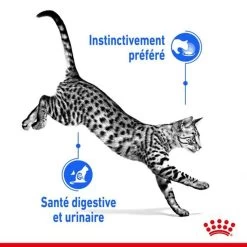 Feline Nutrition Indoor Sterilised En Sauce 12 X 85 G - Royal Canin -Fournitures Pour Animaux feline nutrition indoor sterilised en sauce 12 x 85 g royal canin 3