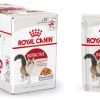 Feline Nutrition Instinctive 12 "en Gelée" - Royal Canin -Fournitures Pour Animaux feline nutrition instinctive 12 en gelee royal canin