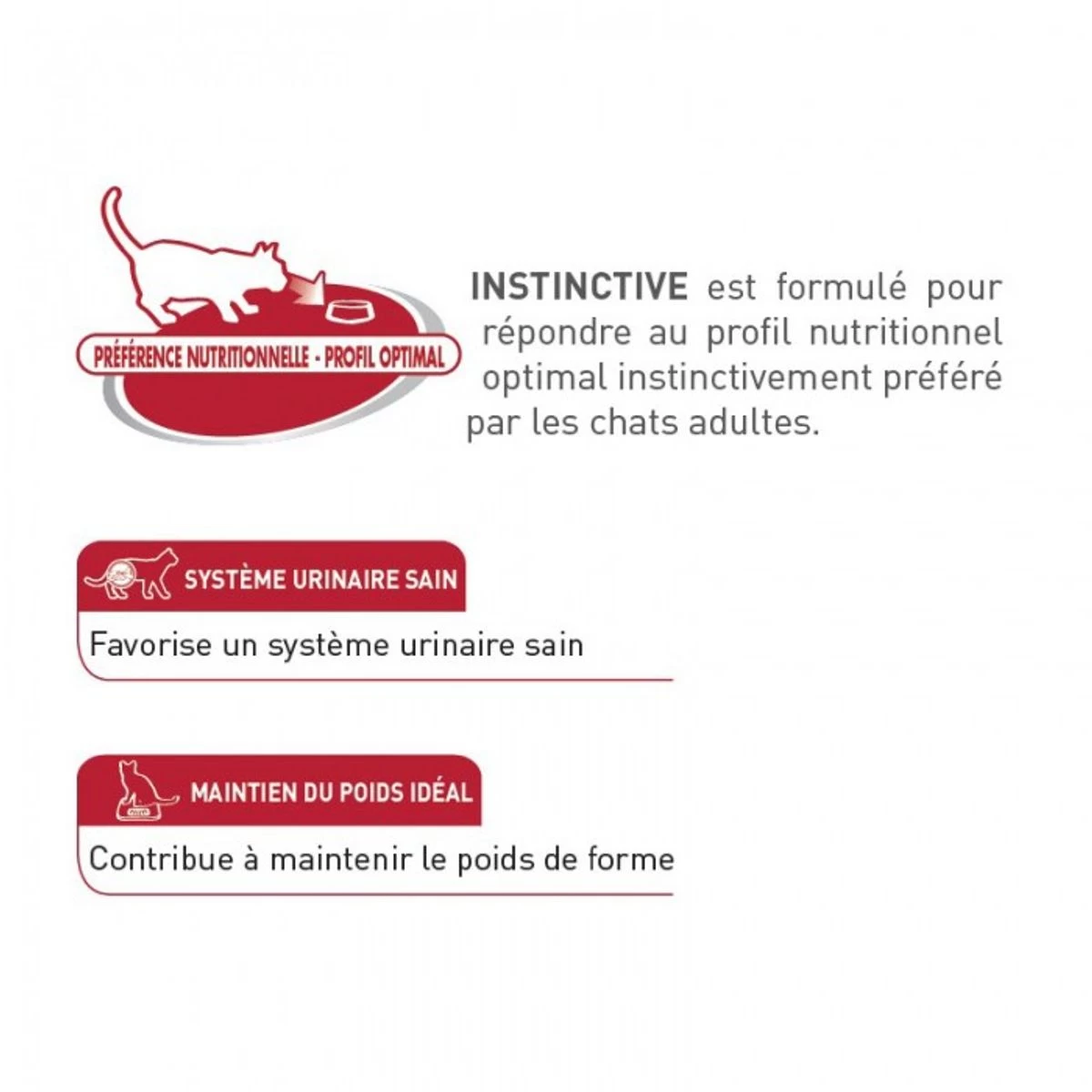 Feline Nutrition Instinctive 12 "en Sauce" - Royal Canin 4 Feline Nutrition Instinctive 12 "en Sauce" - Royal Canin – Image 2