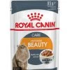 Feline Nutrition Intense Beauty En Sauce X 12 - Royal Canin -Fournitures Pour Animaux feline nutrition intense beauty en sauce x 12 royal canin