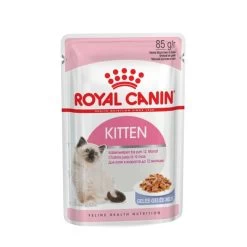 Feline Nutrition Kitten "en Gelé" 12x85 G - Royal Canin