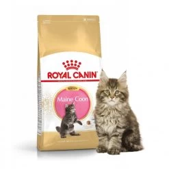 Feline Nutrition Kitten Maine Coon - Royal Canin 9 Feline Nutrition Kitten Maine Coon - Royal Canin -Fournitures Pour Animaux feline nutrition kitten maine coon royal canin 3